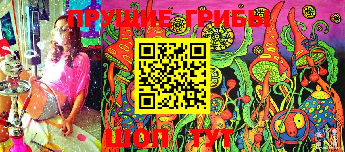 Галлюциногенные грибы GOLDEN TEACHER Берёзовский